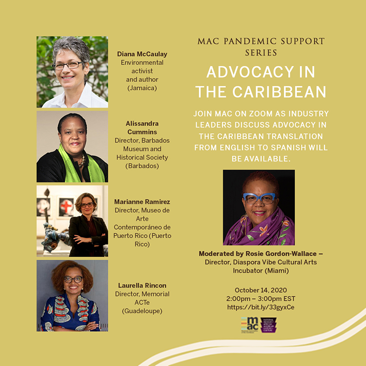 Pandemic Support Series - ADVOCACY IN THE CARIBBEAN